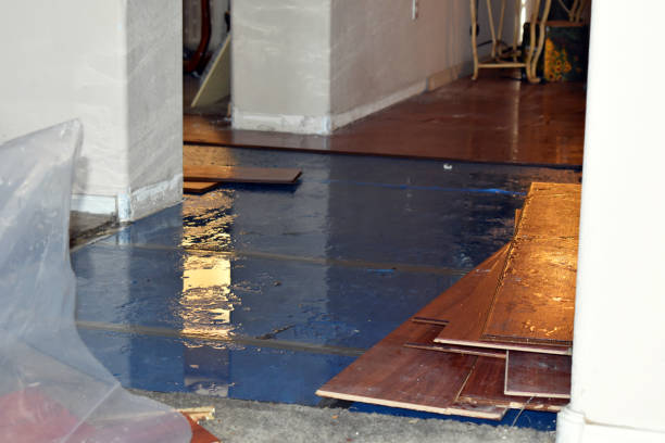 Professional Storm Water Damage Restoration technician working in North Hampton, OH